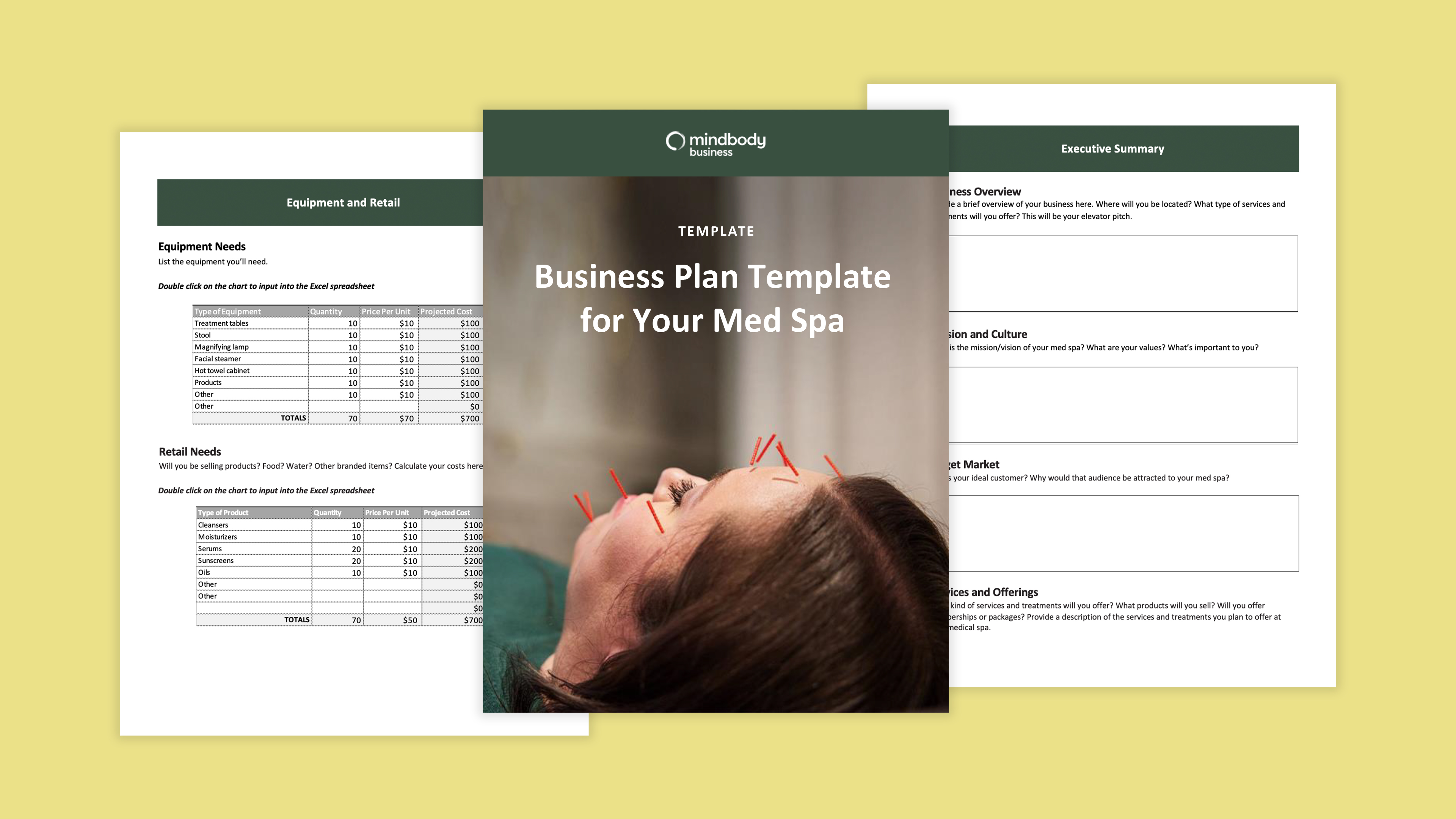 business plan template for spa owners